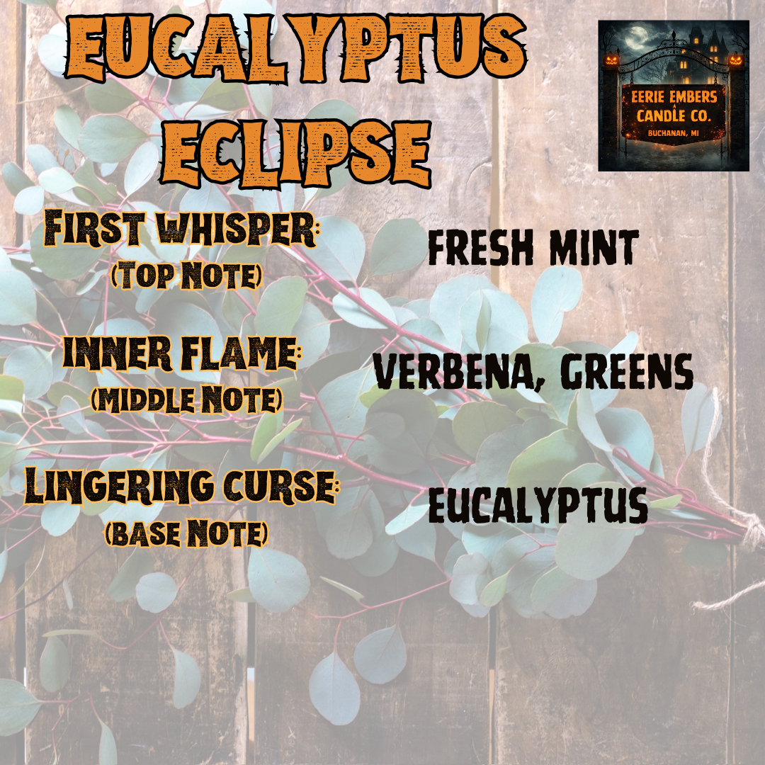 Eucalyptus Eclipse - 14 oz Candle
